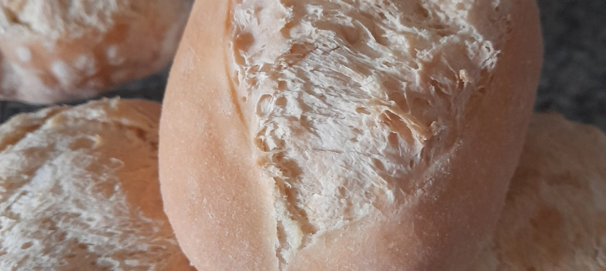 PANECILLOS SIN GLUTEN