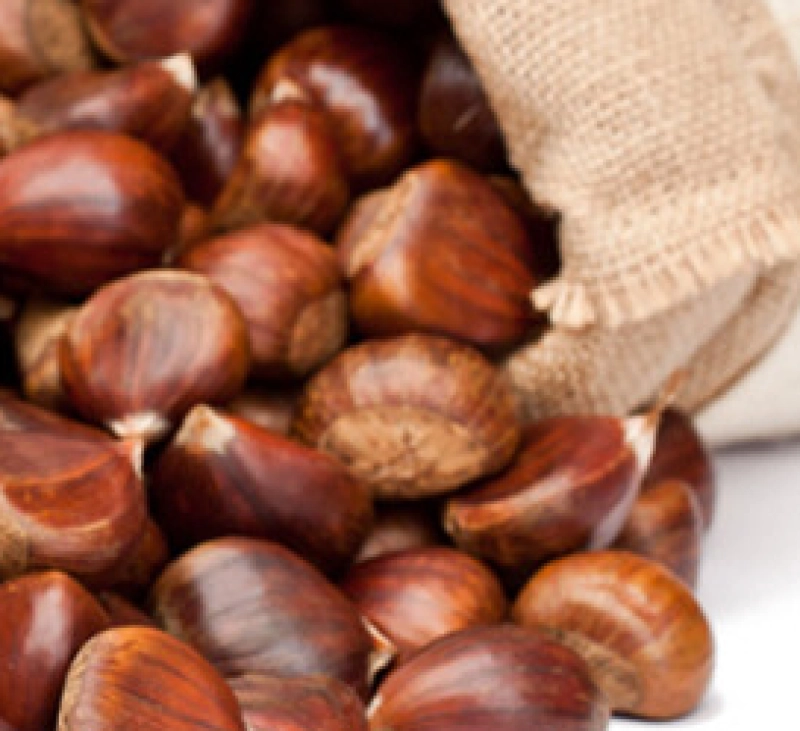 CASTANYADA AMB THERMOMIX