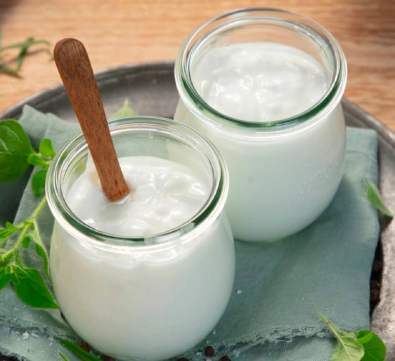 Iogurts amb Thermomix TM6